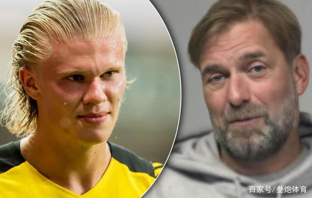 中外野回归 中外野回归